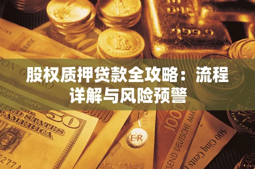 武汉股权质押贷款全攻略：流程详解与风险预警