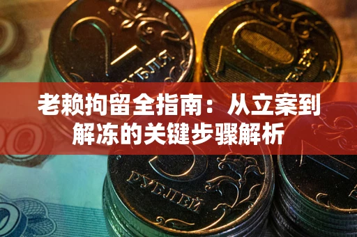 武汉老赖拘留全指南：从立案到解冻的关键步骤解析