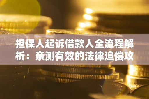 武汉担保人起诉借款人全流程解析：亲测有效的法律追偿攻略