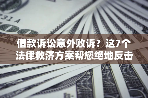 武汉借款诉讼意外败诉？这7个法律救济方案帮您绝地反击！