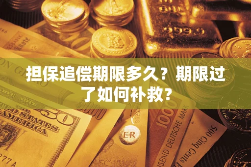 武汉担保追偿期限多久？期限过了如何补救？