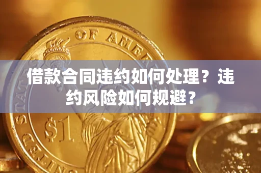 武汉借款合同违约如何处理？违约风险如何规避？