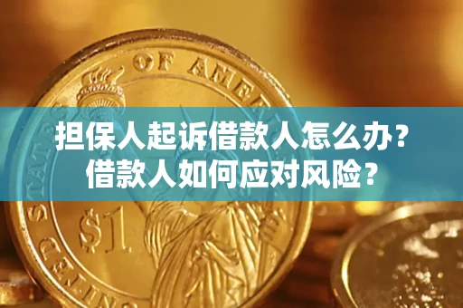 武汉担保人起诉借款人怎么办？借款人如何应对风险？