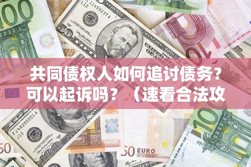 武汉共同债权人如何追讨债务？可以起诉吗？（速看合法攻略）