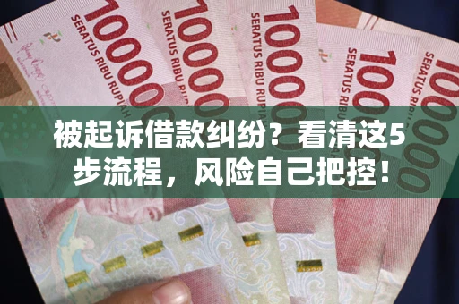 武汉被起诉借款纠纷？看清这5步流程，风险自己把控！