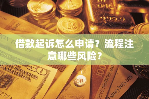 武汉借款起诉怎么申请？流程注意哪些风险？