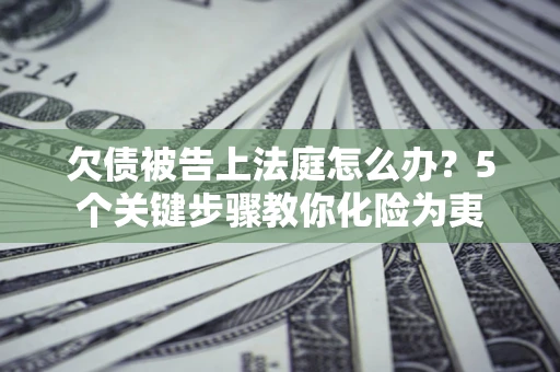 武汉欠债被告上法庭怎么办？5个关键步骤教你化险为夷